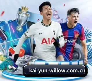 开云 APP(Kaiyun)